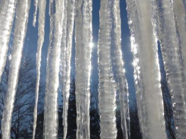 Trucks in the Snow Image